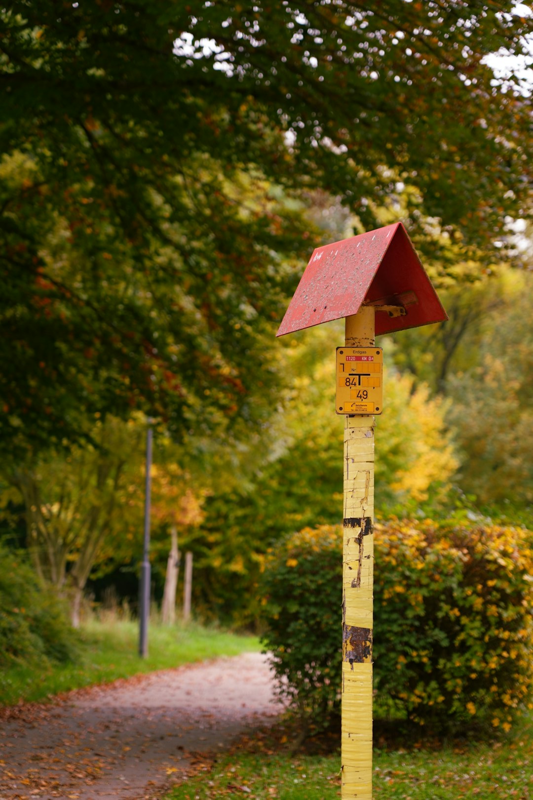 Yenilenebilir Enerji